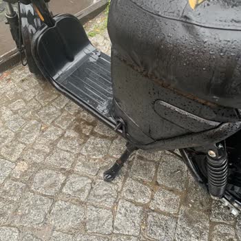 Martı Moped Aracımın Üzerine Devrilmiş