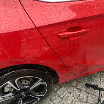 Martı Moped Aracımın Üzerine Devrilmiş