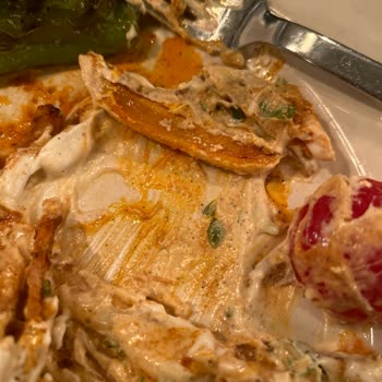 Kanyon Welldone Yemek Özensizliği