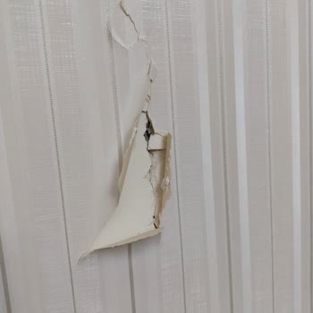 DASK (Doğal Afet Sigortaları Kurumu) Ödeme Yapmıyor