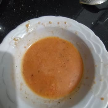 Doğa Evi Tarhana Kurtlu Çıktı