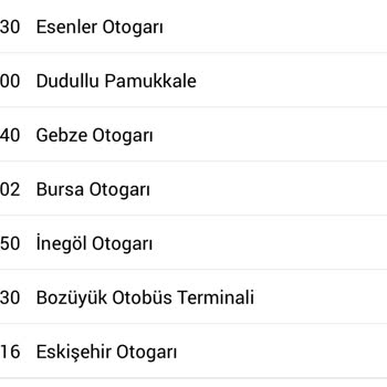Pamukkale Turizm Çocuğum Yolda Kaldı: Eskişehir Otobüsü Gecikmesi Ve Mağduriyet