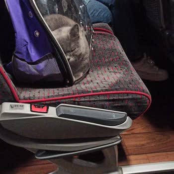 İnegöl Seyahat Muavin Anlayışı Çok Kötü