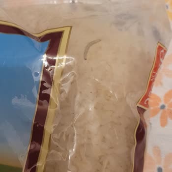 Duru Bulgur Duru Marka Pirincin Kurtlanması