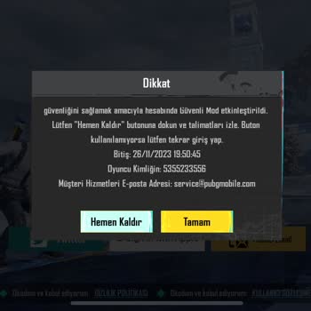 Security Lockout Crisis: Urgent PUBG Account Resolution Request!