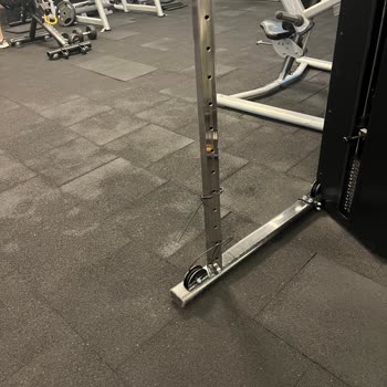 MACFit (İstanbul Avrupa) Başıboş Macfit Vega