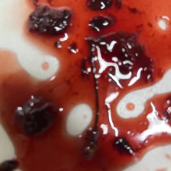 Harras Ürünü Sıkıntıları Var Çözülmesi Lazım