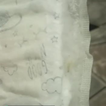 Molped Pedin Kurtlu Çıkması