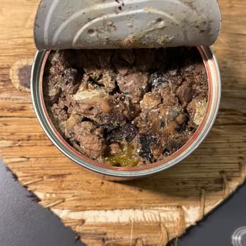 Farmina N&D Bozuk Mama