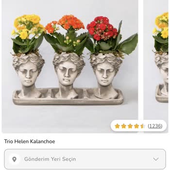 ÇiçekSepeti Yanlış Ürün Kullanımı