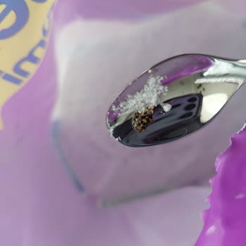 Peros Matik İçinde Böcek