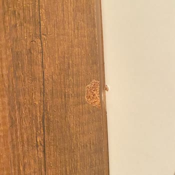 A101'den Aldığım Elbise Dolabına Vida Attığım Her Tarafı Patlıyor.