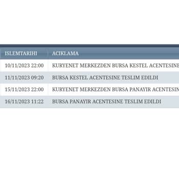 Kuryenet Denilen Kargo Firması