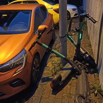 Martı Scooter Aracıma Zarar Verdi Ve Olayı Görmezden Geliyor.