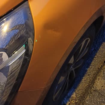 Martı Scooter Aracıma Zarar Verdi Ve Olayı Görmezden Geliyor.