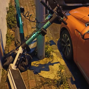 Martı Scooter Aracıma Zarar Verdi Ve Olayı Görmezden Geliyor.