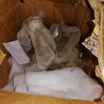 Trendyol Express Kargoda Kırılan Ürünler