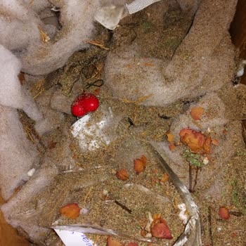 Trendyol Express Kargoda Kırılan Ürünler