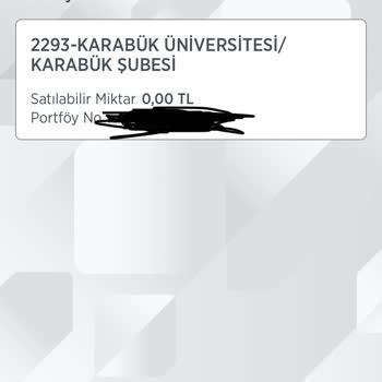 Ziraat Bankası Borsa Hesap Para Çekilemiyor