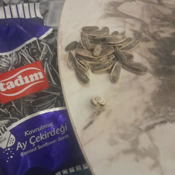 Tadım Gıda Paket İçinden Salyangoz Kabuğu Çıktı