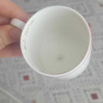 Altus Bulaşık Makinesi Leke Ve Koku Problemi