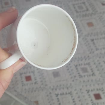 Altus Bulaşık Makinesi Leke Ve Koku Problemi