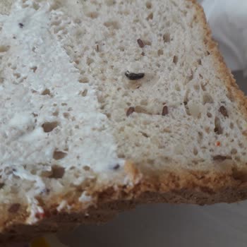 UNO Çok Tahıllı Ekmeğin İçindeki Yabancı Cisim