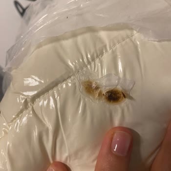 Koton Hasarlı Kargo Teslimi