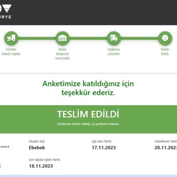 AGT Kurye (aynigunteslim.com) Teslim Edildi Görünümlü Kayıp Kargo