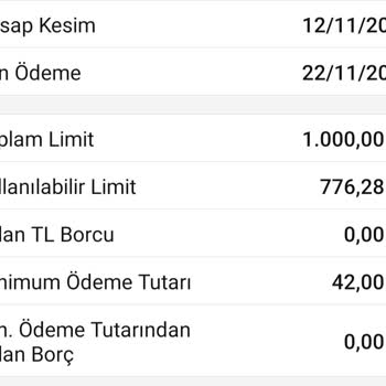 Kredi Kayıt Bürosu Findeks Limit Hatası Borçlu Gösteriyor