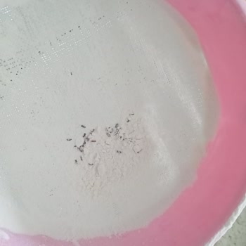 Espa Gıda Hamarat Un Böceklenmiş