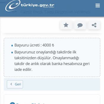 Devlet Kurumları Ve STK'lar Adıyla Dolandırıcılık E-Devlet Evlilik Kredisi Başvurusu