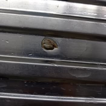 Şenpiliç Tavuk Paketinden Çıkan Madde