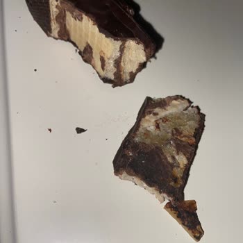 Eti Gıda Eti Karam Çikolatadan Değişik Madde Çıktı