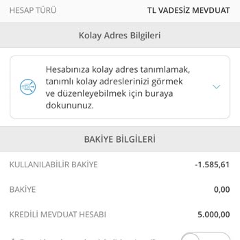 Denizbank Kurtaran Hesap Hiç Kullanılmadan Ekside