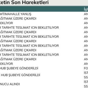 UPS Türkiye Günlerdir Kargomu Getirmiyor.