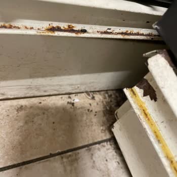 A101 Fare Dışkısı Var