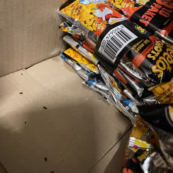 A101 Fare Dışkısı Var