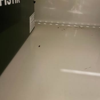 A101 Fare Dışkısı Var