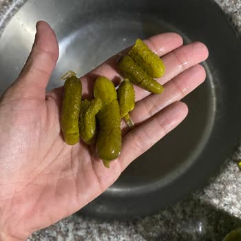 Tat Gıda Tat Salatalık Turşusu Form Bozukluğu