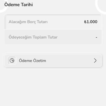 Nays Borç Alma İşlemi