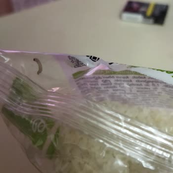 Migros'tan Alınan Yayla Bakliyat Pirincin Kurtlu Olması