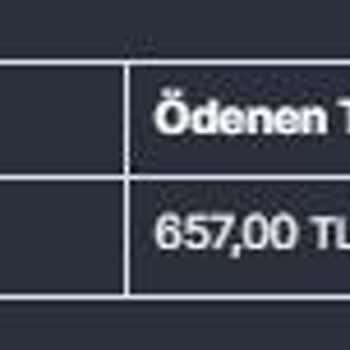 Oyunexe.com İşinizi Düzgün Yapın