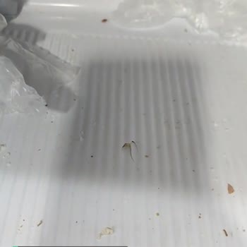 Buzdolabı Buzluk Kısmı Çatlak Samsung Kalitesi Şüpheli Artık!