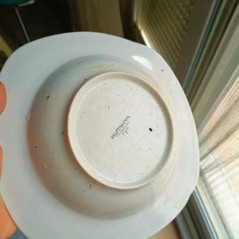 Samsung Bulaşık Makinesinden Pişmanım