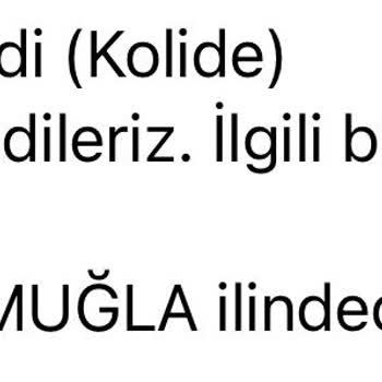 AGT Kurye (aynigunteslim.com) Kargom Kayıp, Müşteri Hizmetleri Sessiz!