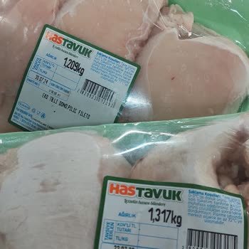 HasTavuk Tarihi Geçmiş 2023 Temmuz