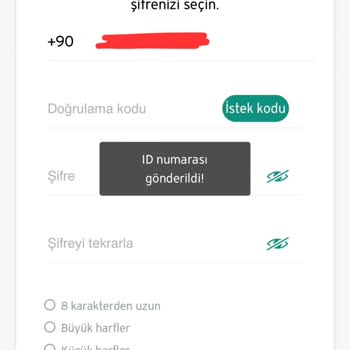 Vaillant Oda Termostatı Uygulama Çalışmıyor