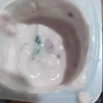 Sütaş Ürün Küflenmiş Ti