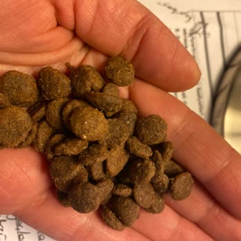 M&D Farmina Digestion Kedi Maması Tepkisi